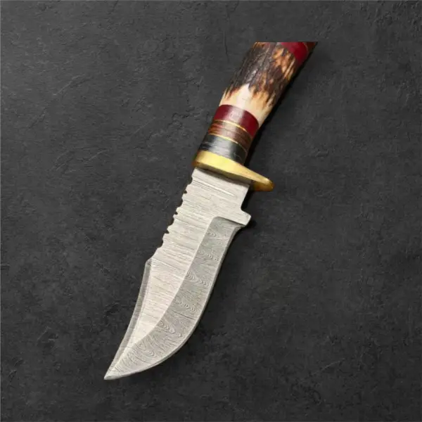 Handmade Damascus Steel Hunting Knife – 8” EDC Blade with Brass Guard & Stag Handle | Includes Leather Sheath - Image 2